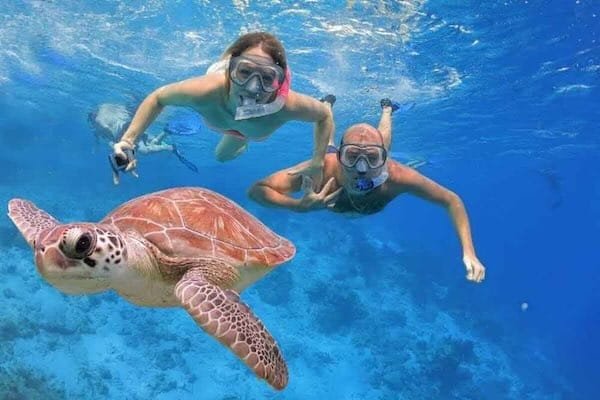 Abu Dabbab Turtle Marsa Alam VIP