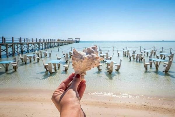 Hurghada Orange Island Snorkeling and Lunch